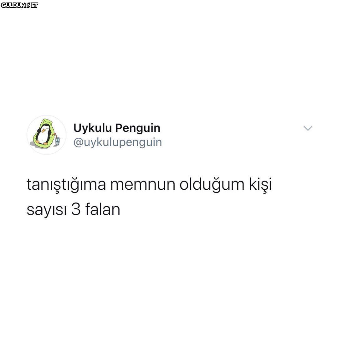 Uykulu Penguin...