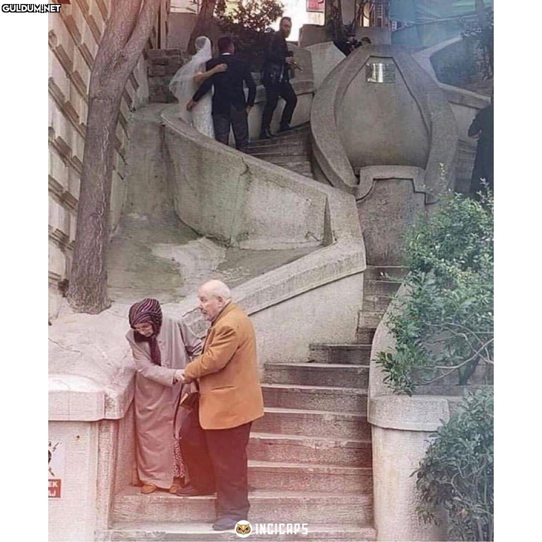 Bir çok şey, tek görselde...