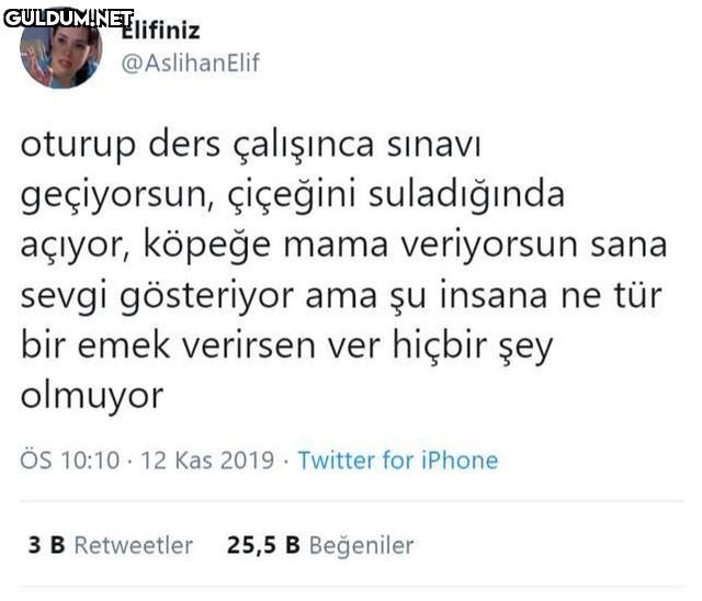 Elifiniz @AslihanElif...