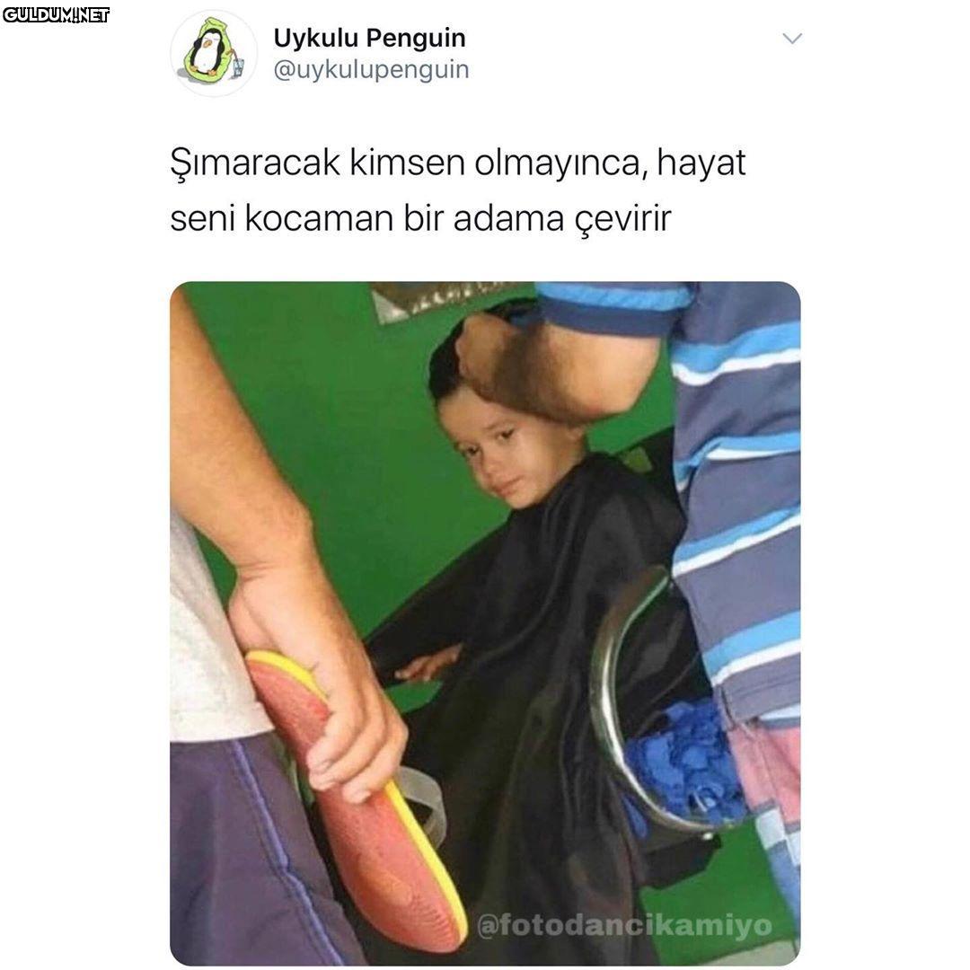 Uykulu Penguin...