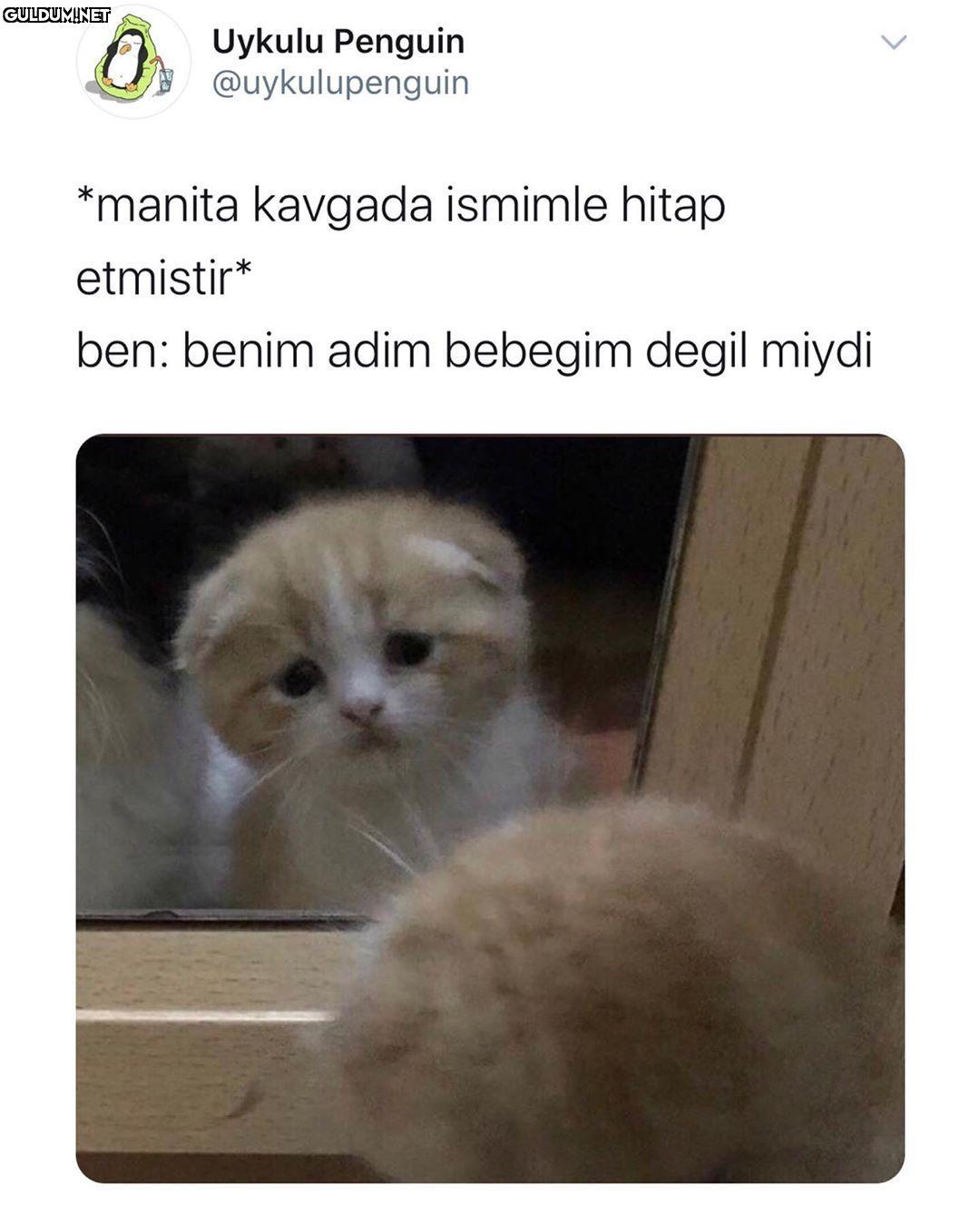 Uykulu Penguin G...