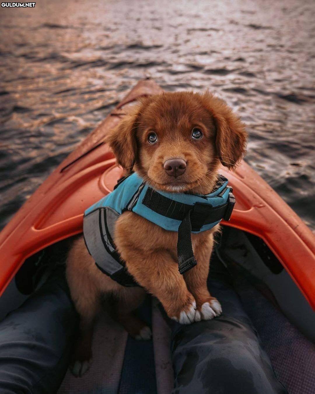 Günaydın 😊
-
📷 @journeysofjuniper -