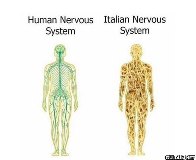 ︎ ︎ ︎ ︎ ︎ ︎ ︎    Human...