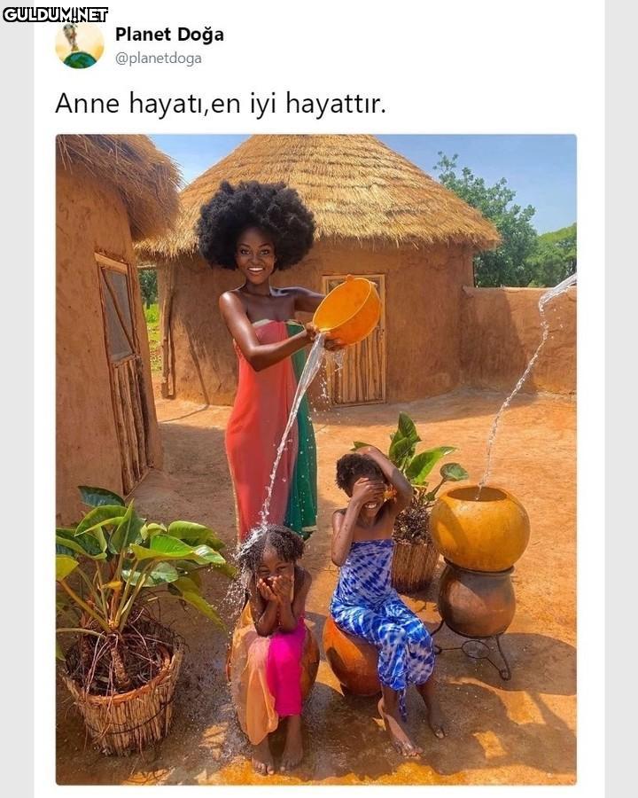📷 @iamhamamat Planet Doğa...