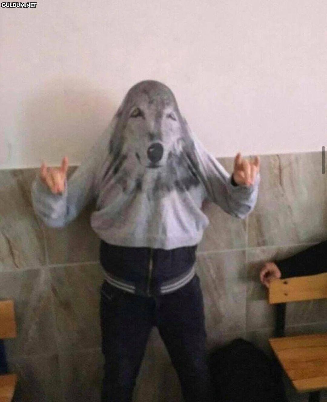 Kurt tenefüsü geçirir...