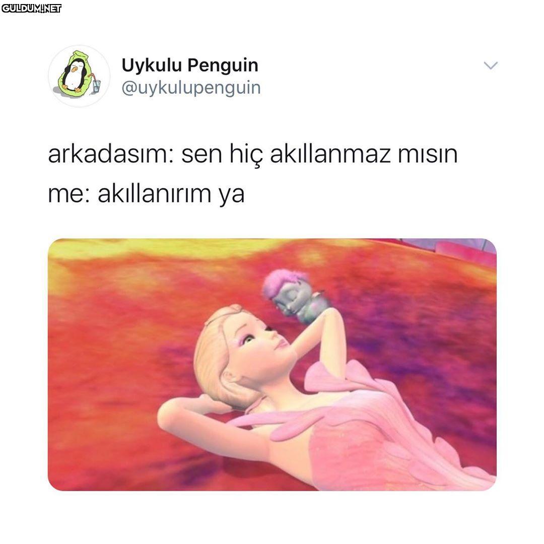 Uykulu Penguin...