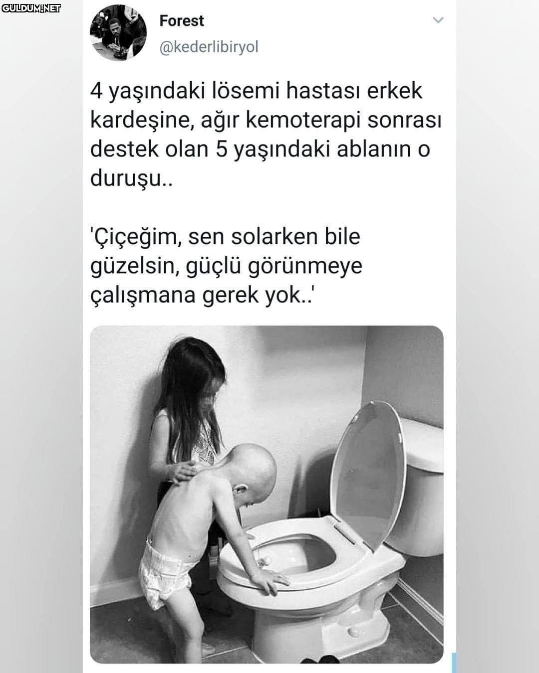 Forest @kederlibiryol 4...
