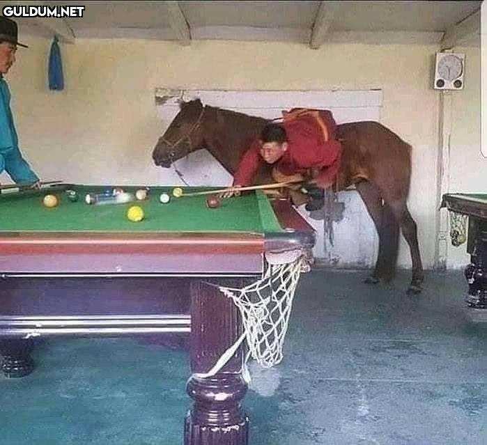 Cengizhan Saygıner 🎱🐎...