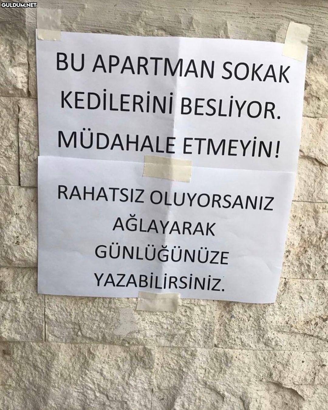 BU APARTMAN SOKAK...
