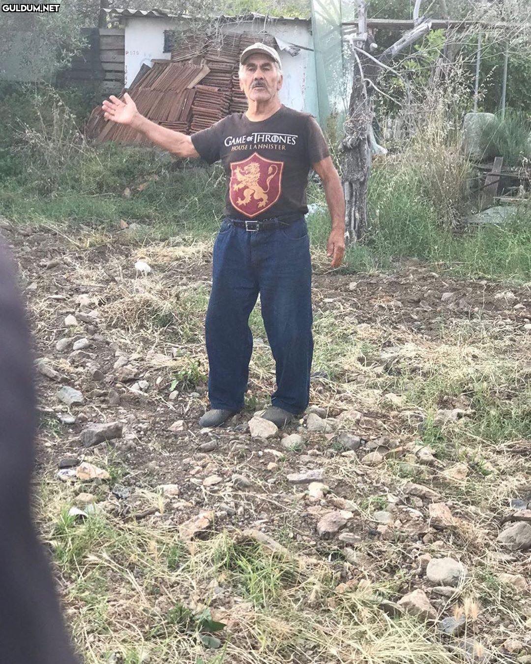 Kim gelecek abi başa, Ned...