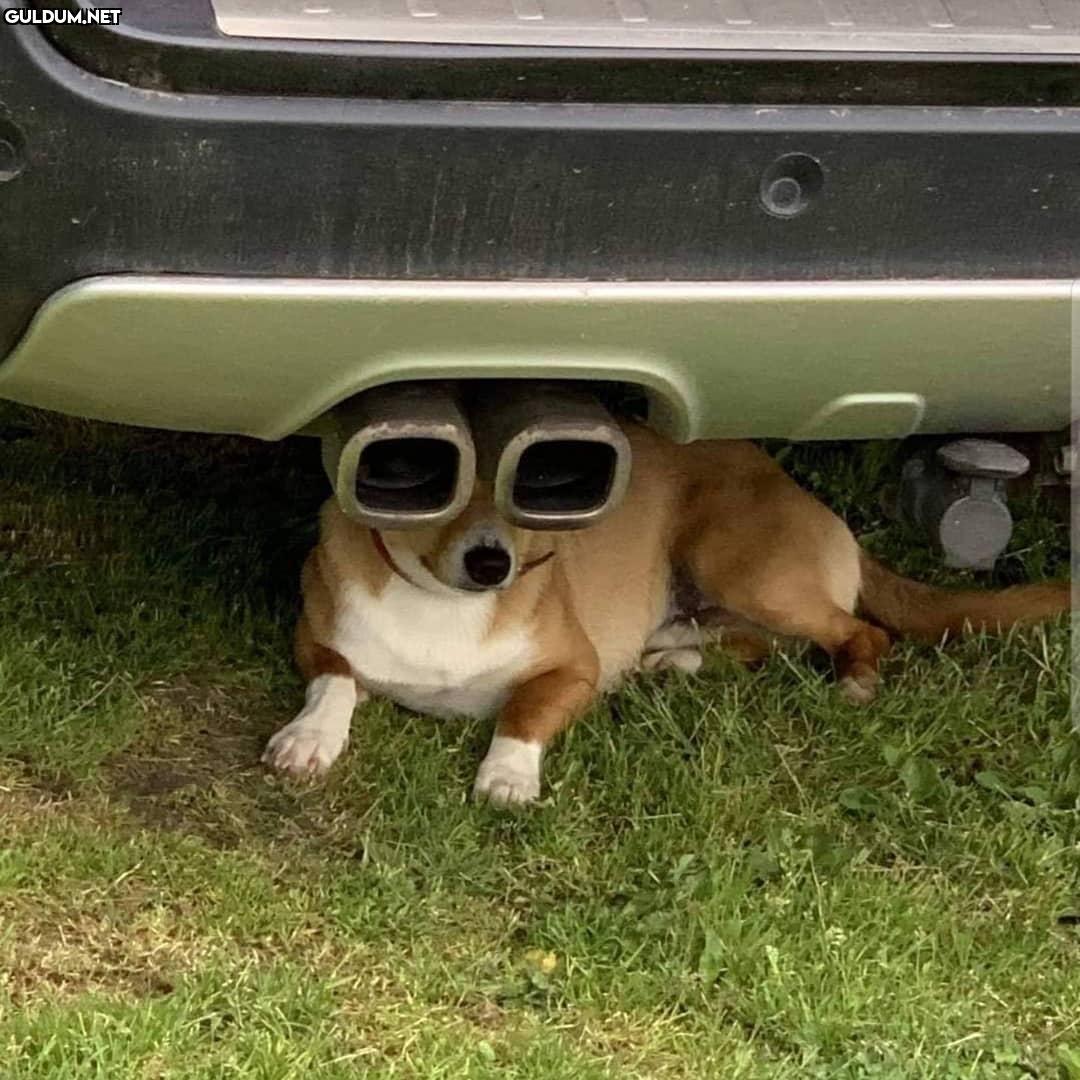 Cyberdog 2023 @cukk_oturdu