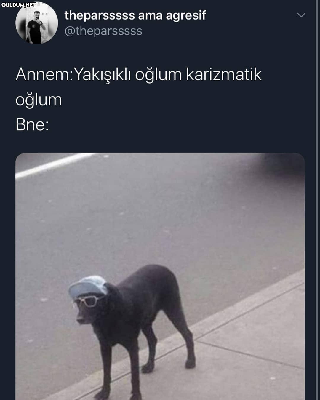 theparsssss ama agresif...