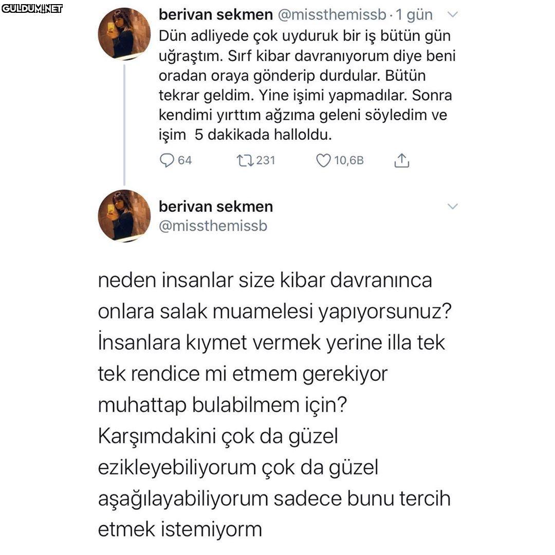 berivan sekmen...