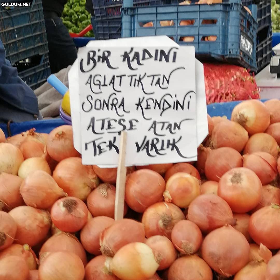 Cahit Sıtkı Pazarcı BiR...