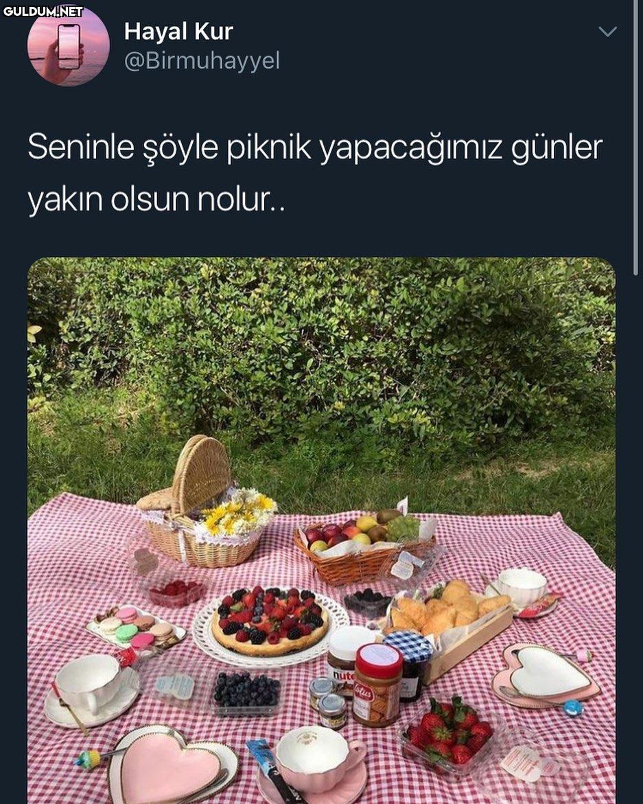 Mangal yoksa neyleyeyim...