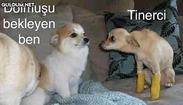 Dolmuşu bekleyen ben Tinerci