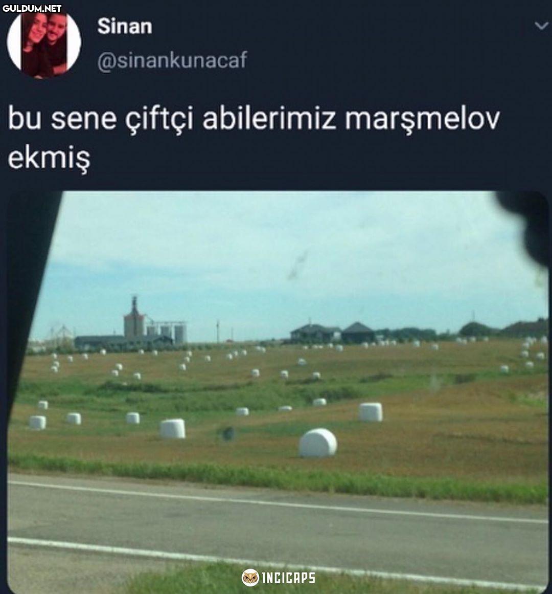 Sinan @sinankunacaf bu...
