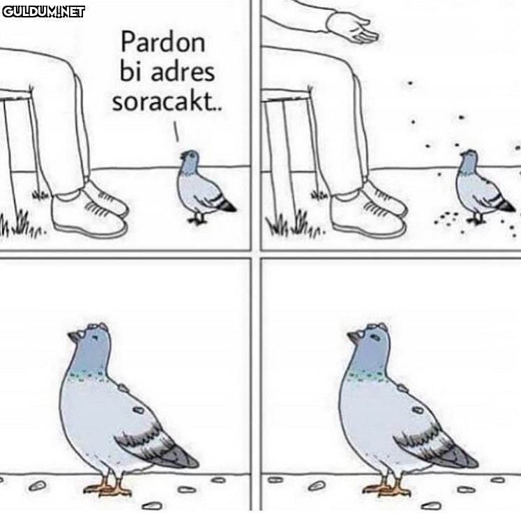 Pardon bi adres soracakt.