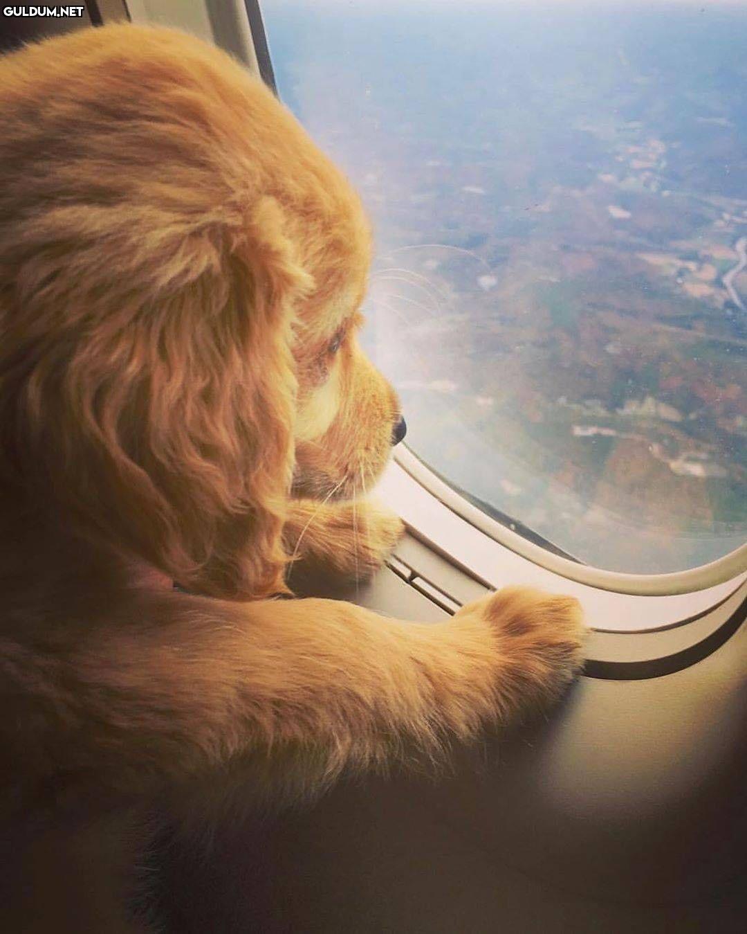 Günaydın 😊
-
📷 @connorandcooper
-