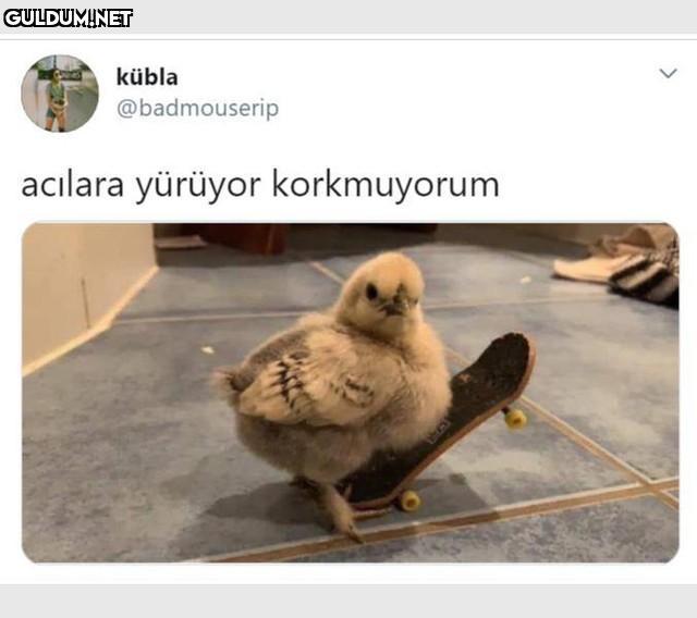 kübla @badmouserip acılara...