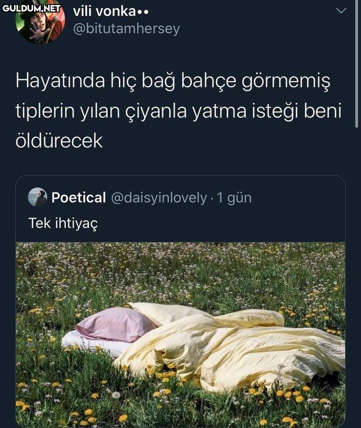 vili vonka.....