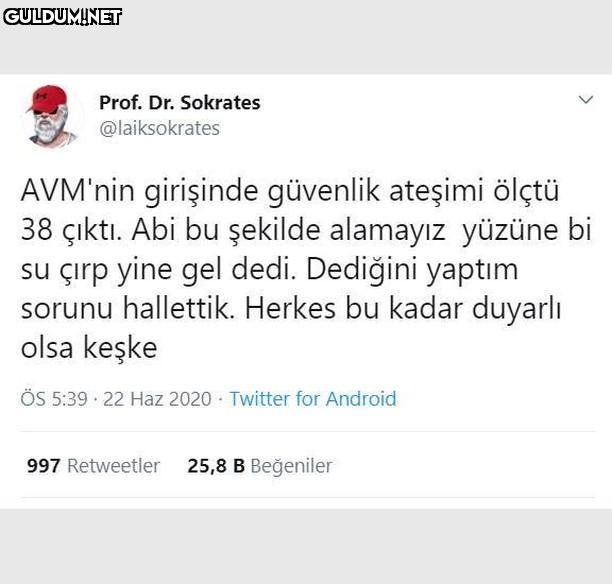 Prof. Dr. Sokrates...