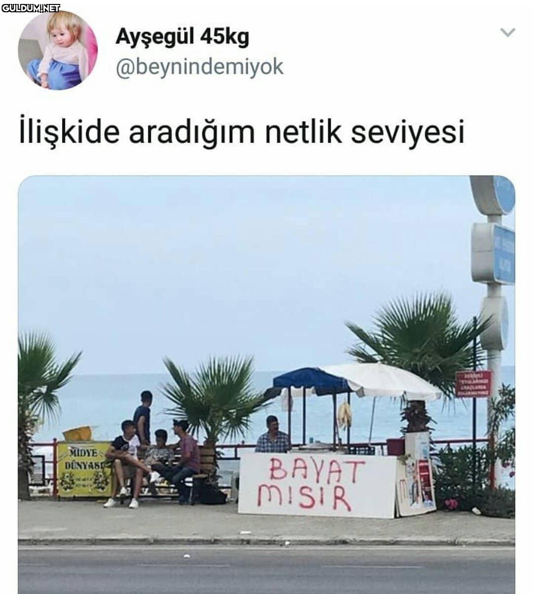 bayat sevgi... Ayşegül...