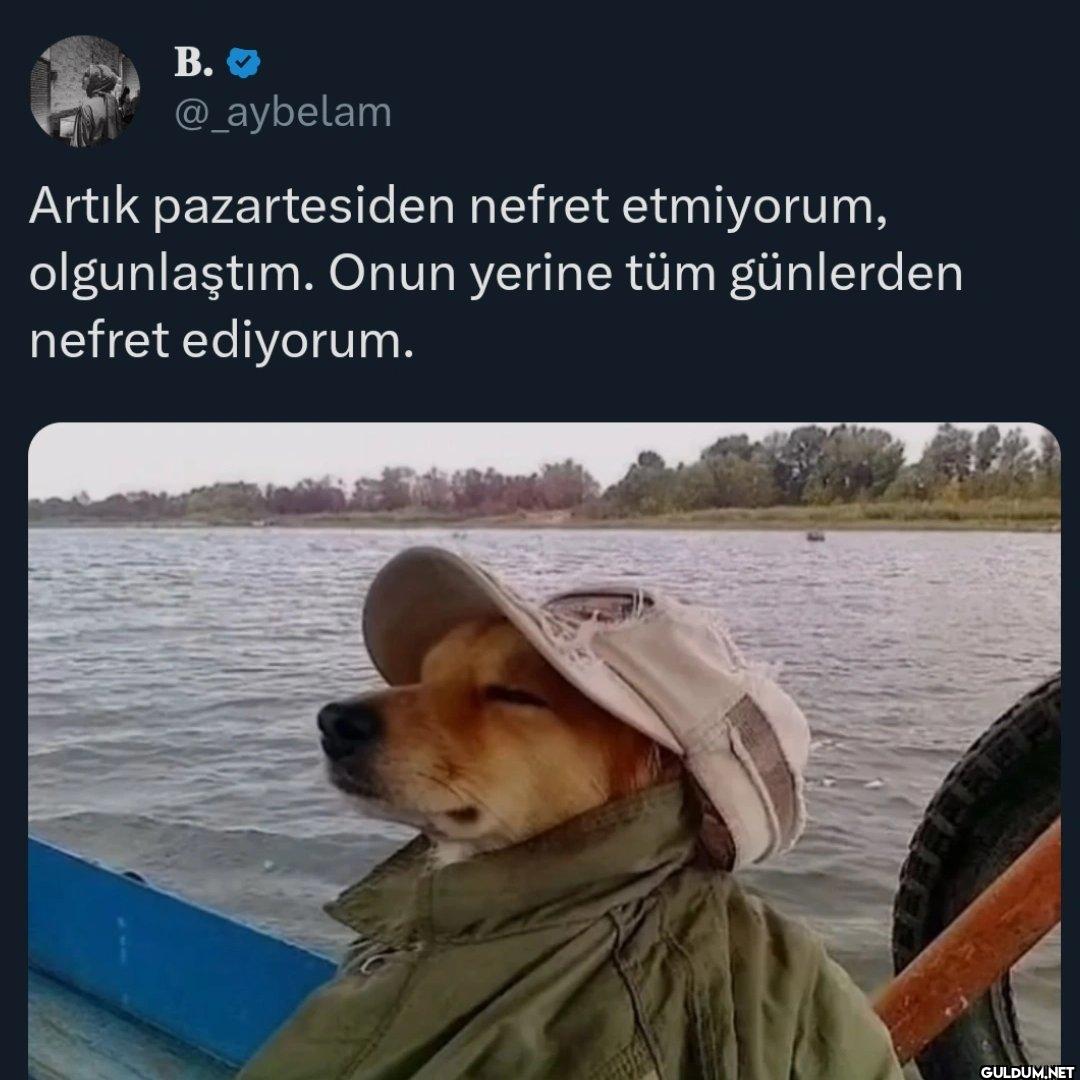 Artık pazartesiden nefret...