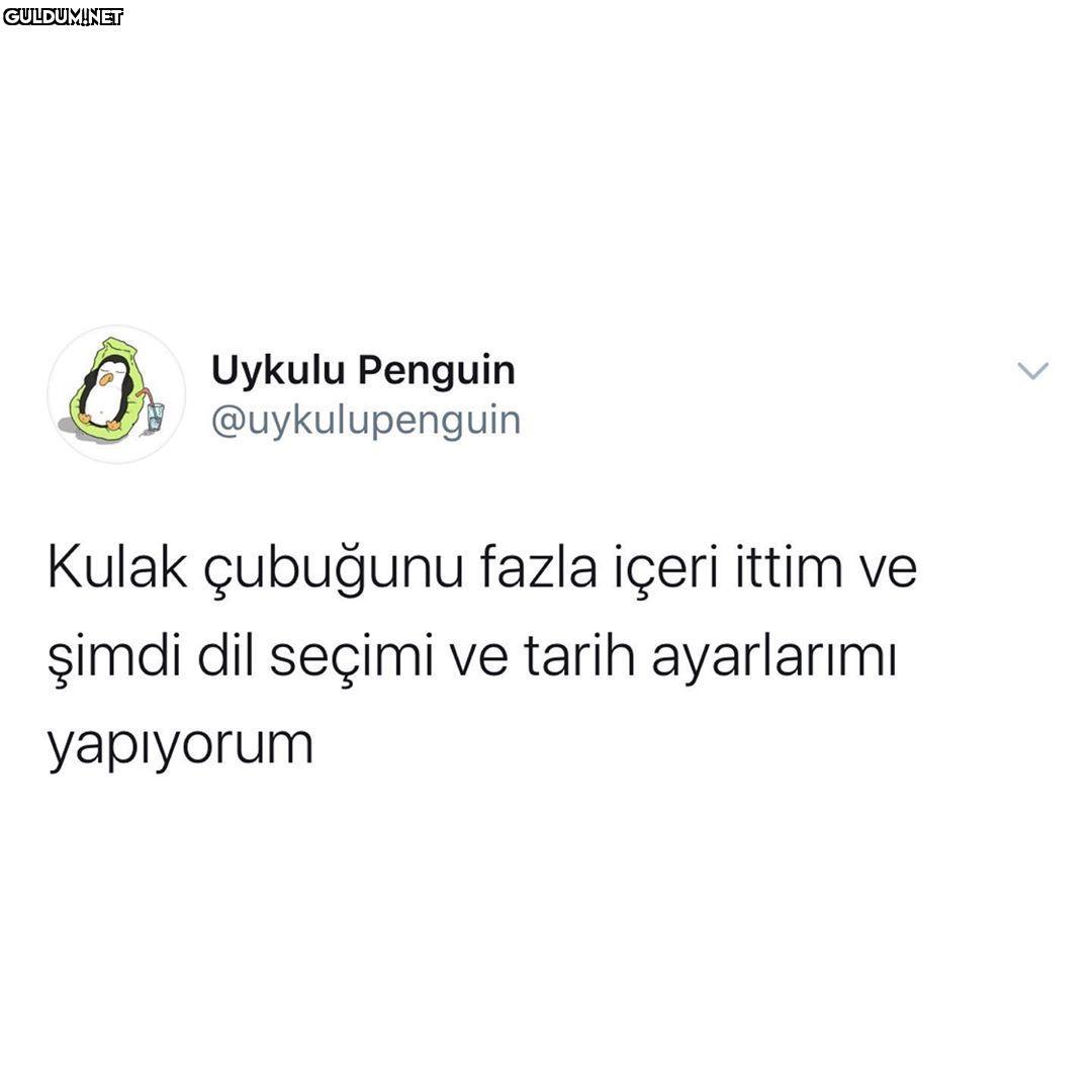 Uykulu Penguin G...