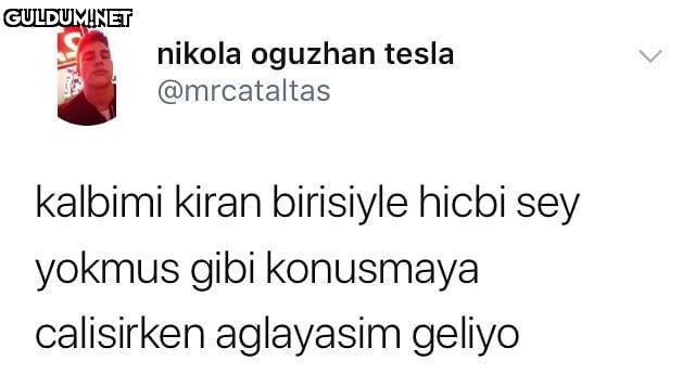 nikola oguzhan tesla...