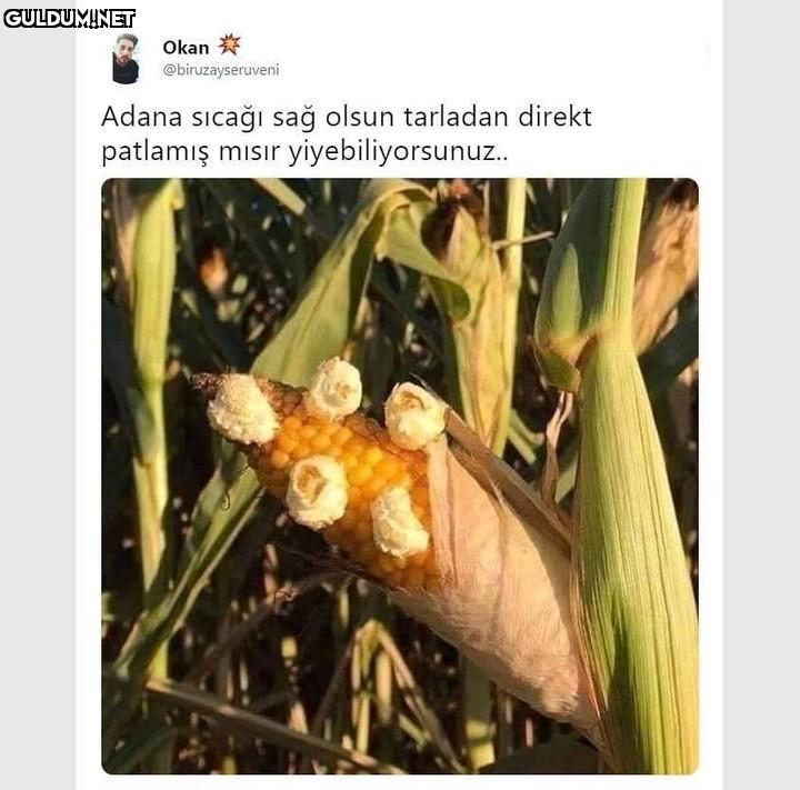 Okan @biruzayseruveni...