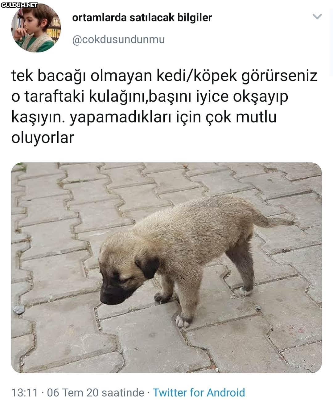 Bu bilgi için minnettarım....