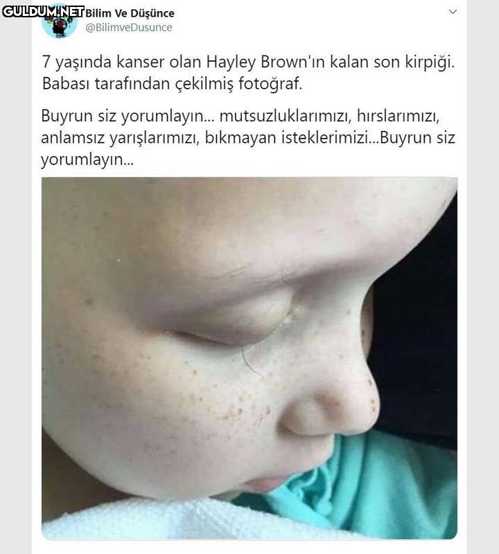 Bilim Ve Düşünce...