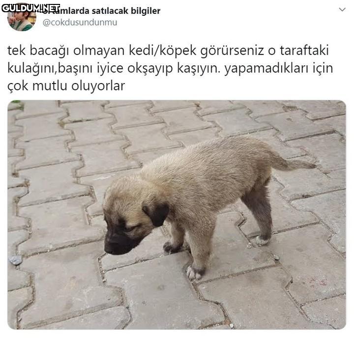 ortamlarda satılacak...