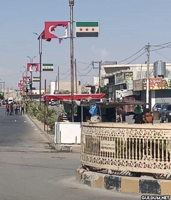 Acı bir görüntü    *** عمو ذيل