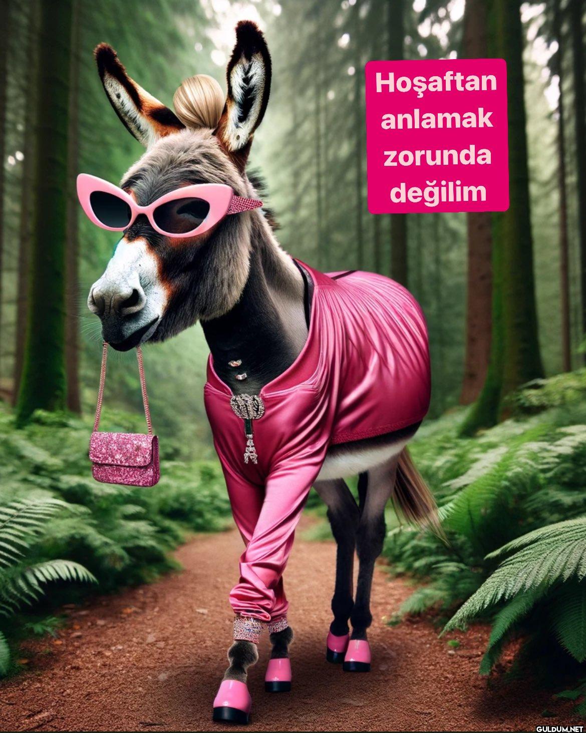 Hoşaftan anlamak zorunda değilim