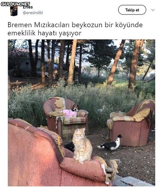 eşek nerede 🥺👉👈 Enes Takip...