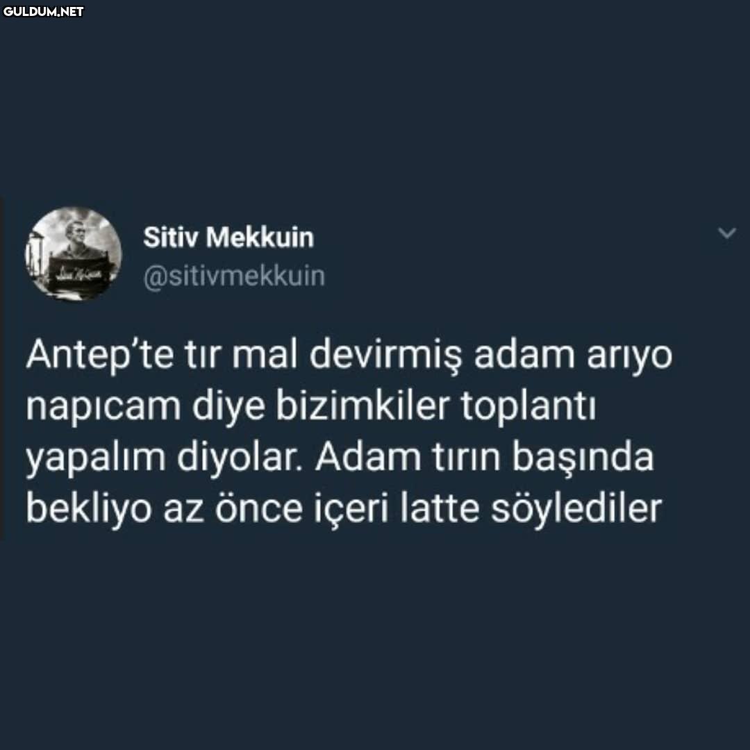 Kitaplar makaleler yazılan...