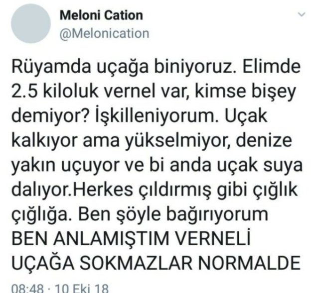 Vermekle uçağa binme rüyası.