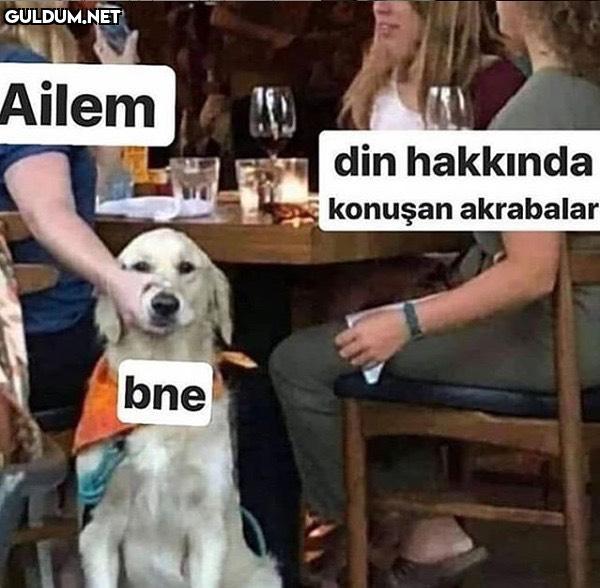 Ailem din hakkında konuşan...