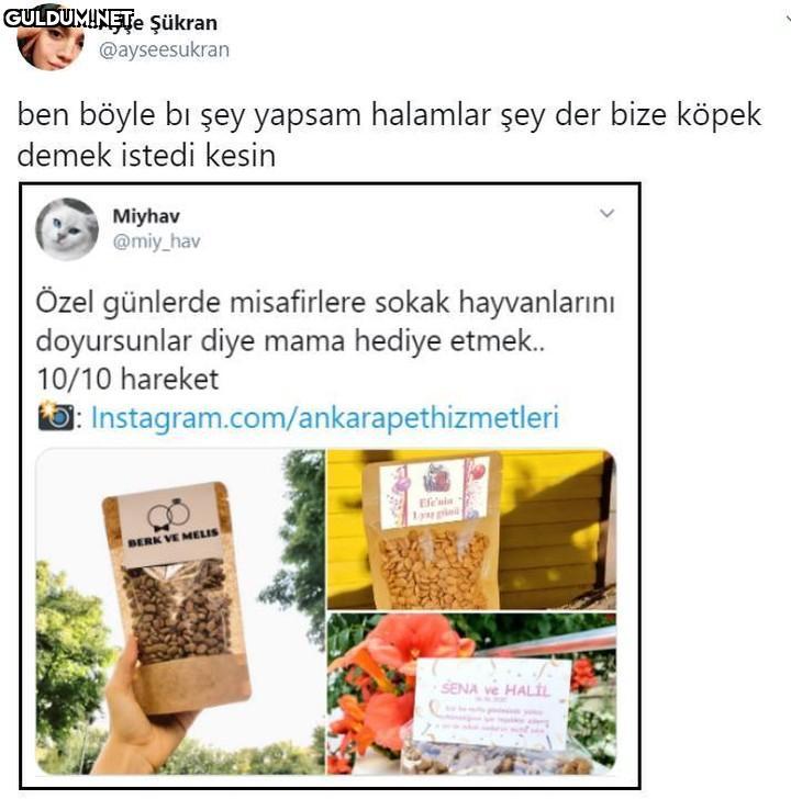 Ayşe Şükran @ayseesukran...