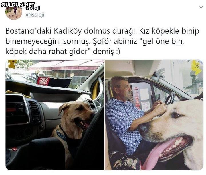 isoloji @isoloji...