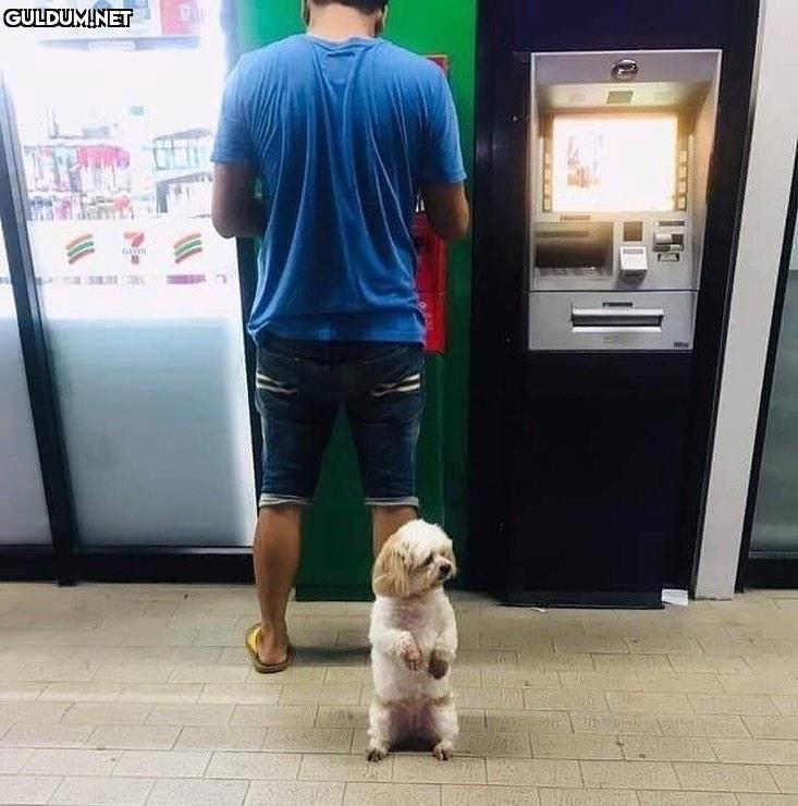 Çek sen parayı kardeşim,...