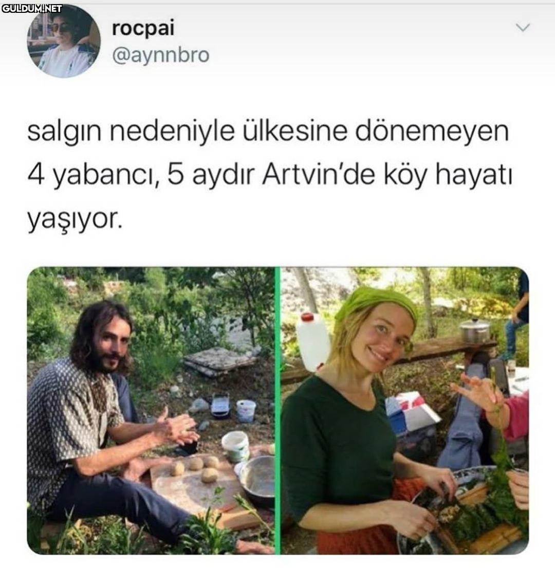 гоcpai @aynnbro salgın...