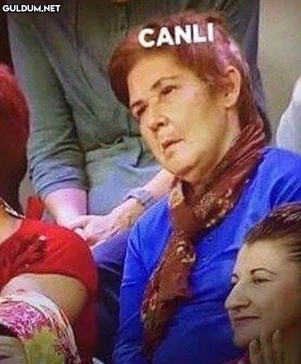 Güncel nakit durumum CANLI