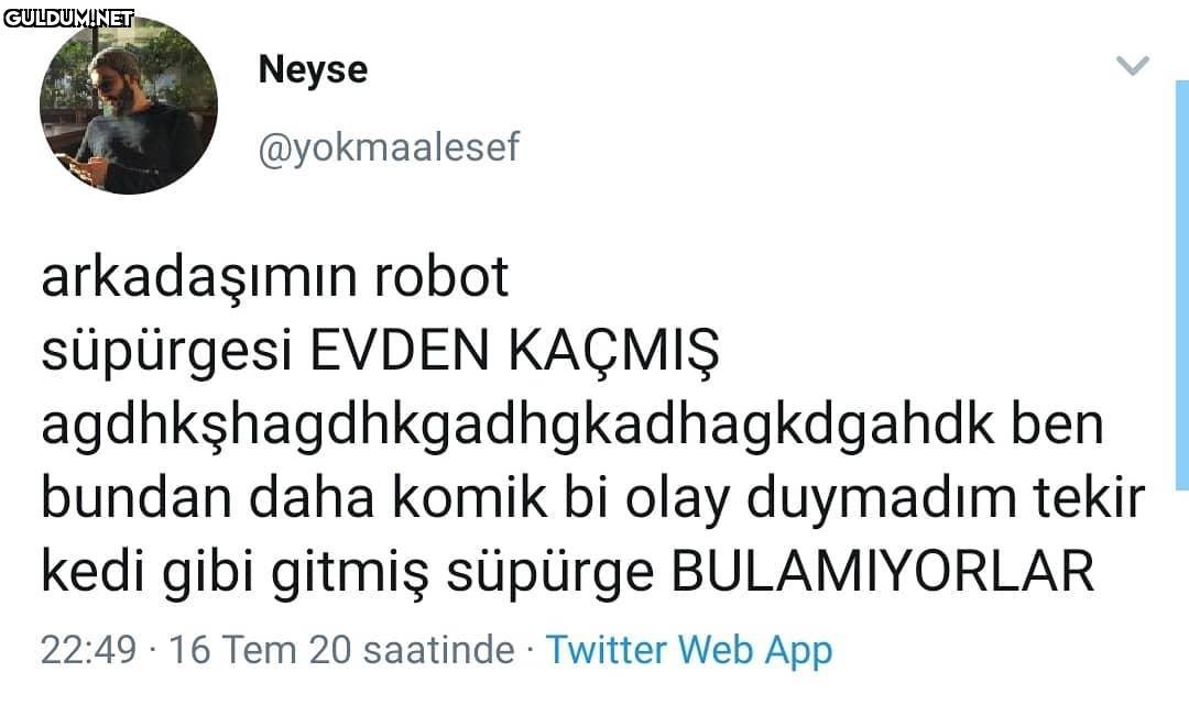 Bi bakıyorlar bir sürü...