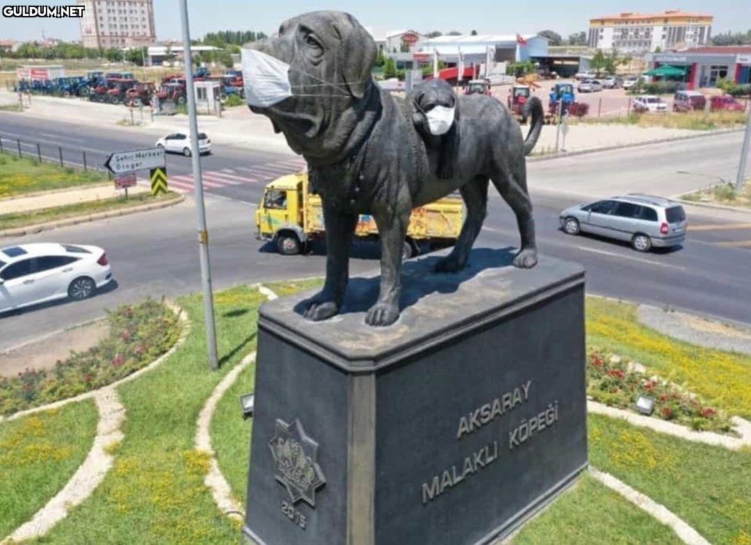 anlamsız fotoğraflar 204...