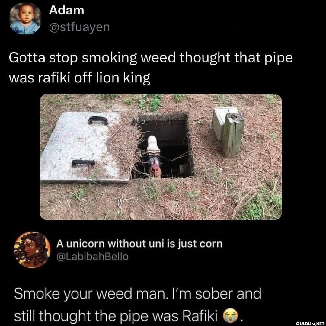 Gotta stop smoking weed...