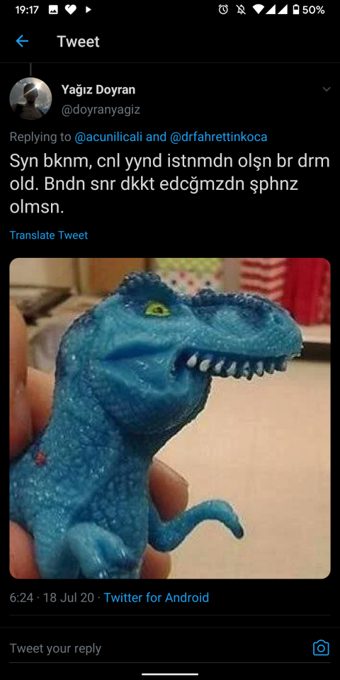 Survivor finalindaki...
