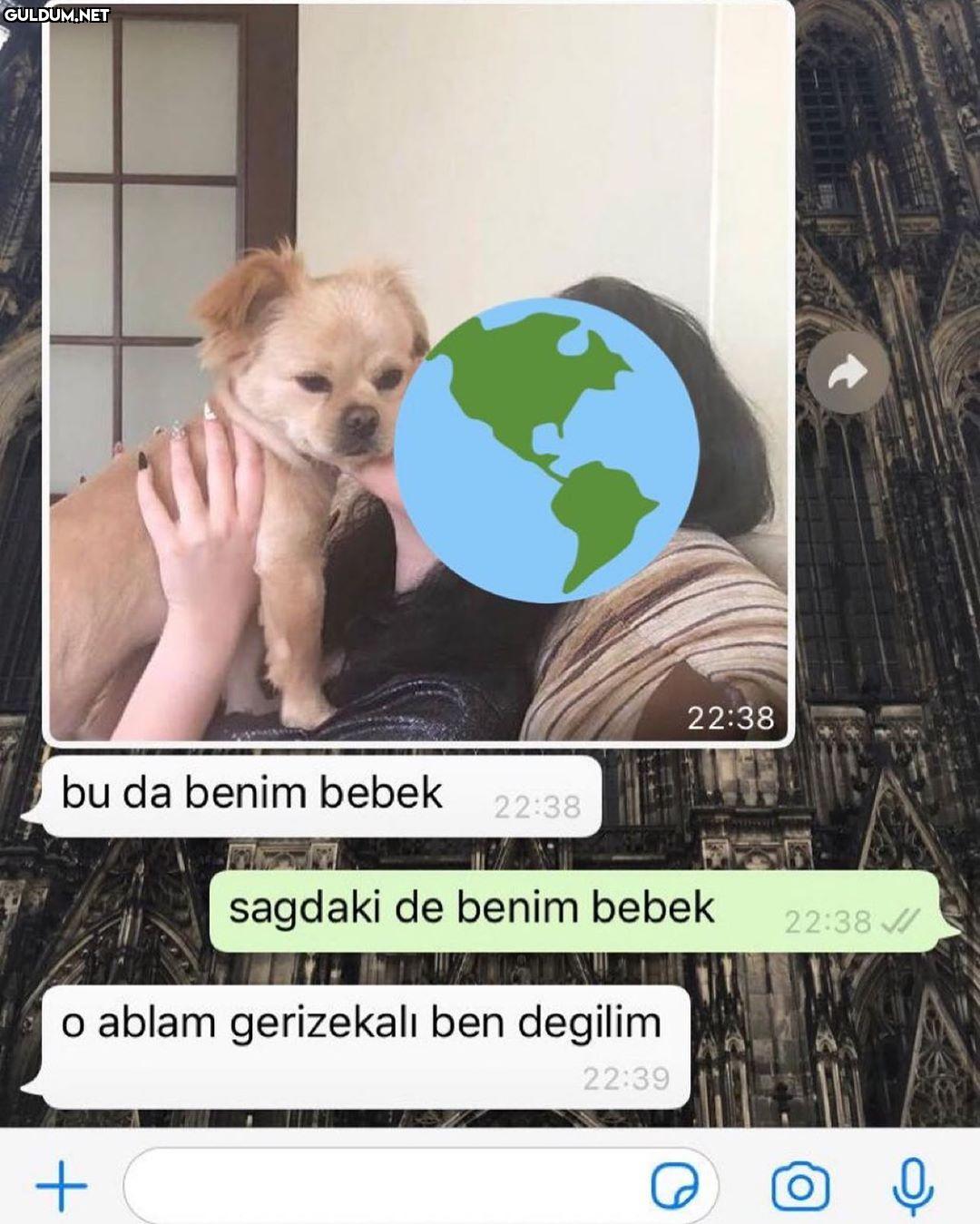 TC erkeği romantik olmaya...